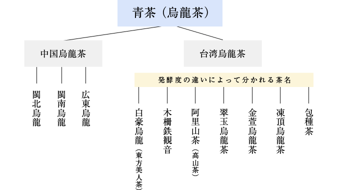 青茶の分類